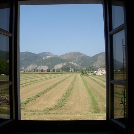 B&B Antica Dimora San Giuliano Terme Eksteriør bilde